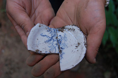 Hands holding a tea saucer